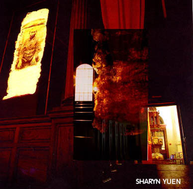 Feng Shui - Sharyn Yuen